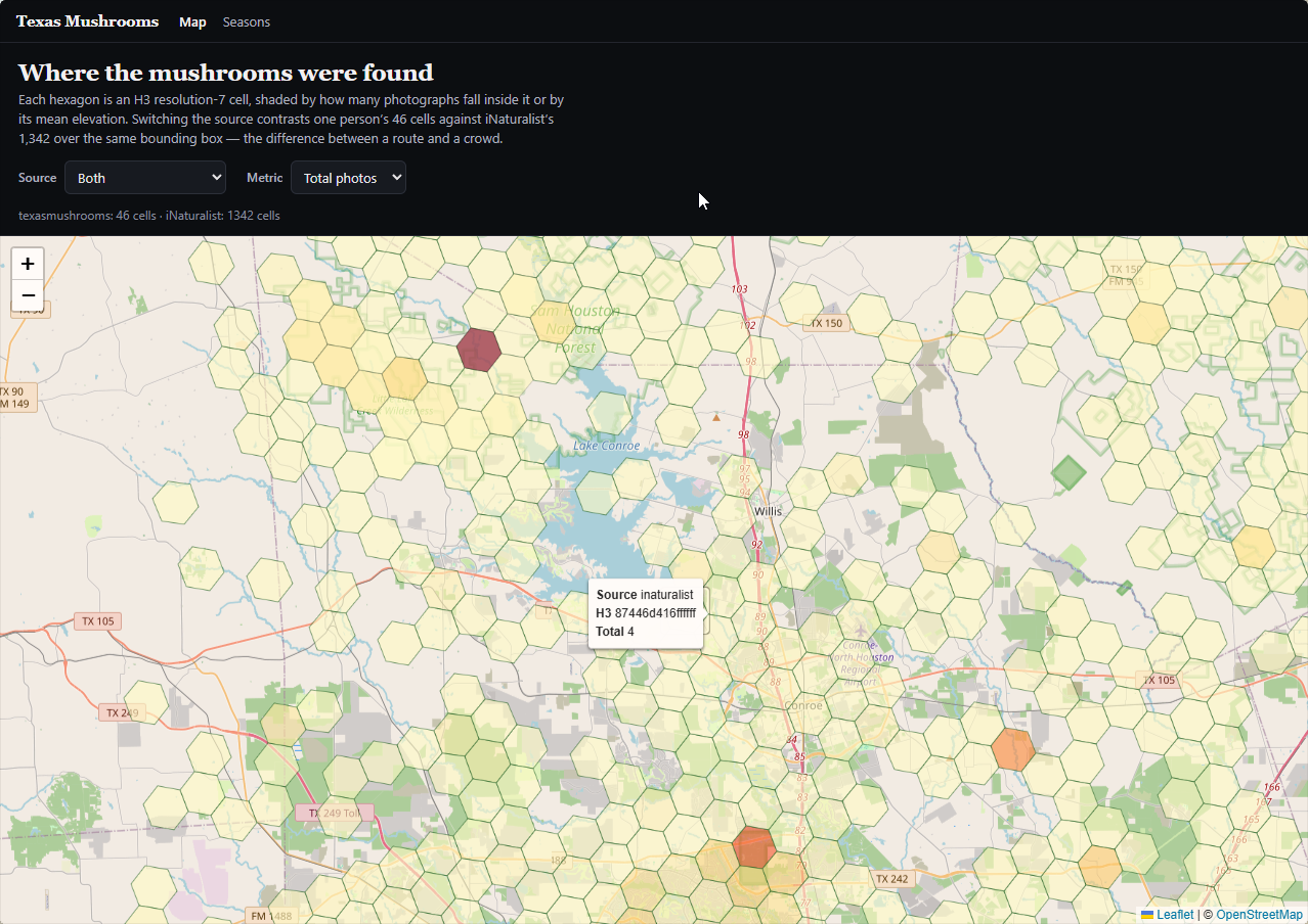 H3 cells of mushroom photo locations, his and iNaturalist's, around Sam Houston National Forest