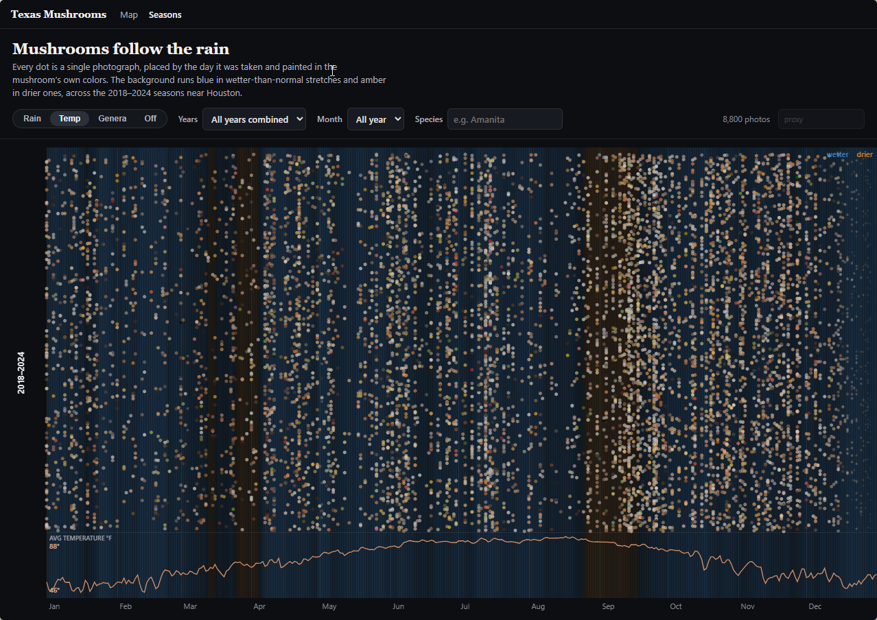 All 8,800 photos combined into one day-of-year view, with average temperature below